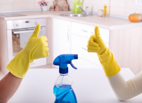 Home cleaning essentials arranged for regular cleaning routine