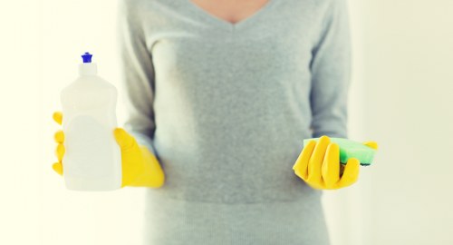 Professional oven cleaning in a modern kitchen