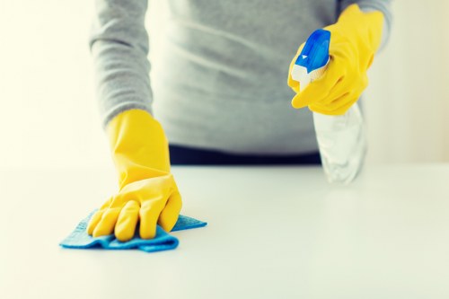 Professional domestic cleaning in a bright living room