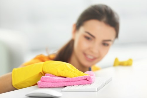 Cleaning routine with supplies for daily house maintenance