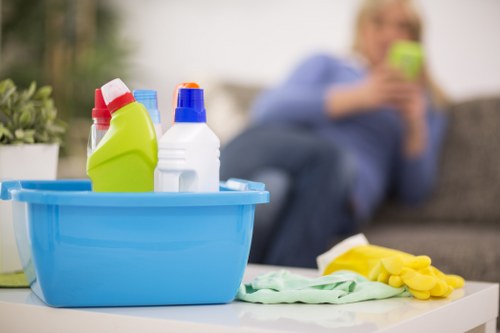 Eco-friendly domestic cleaning tools and products on display