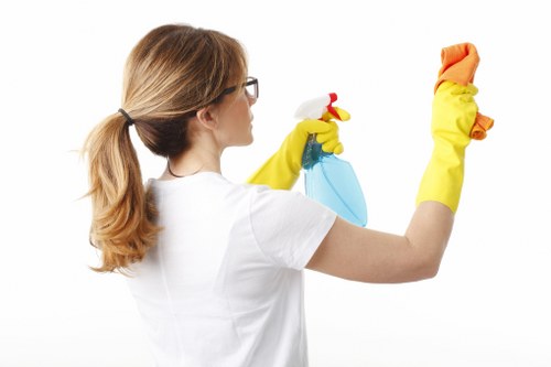 Checklist and cleaning tools for move out cleaning preparation