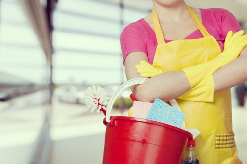 Domestic cleaning supplies arranged for kitchen and bathroom tasks