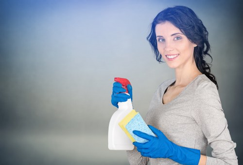 Household domestic cleaning in a tidy family room